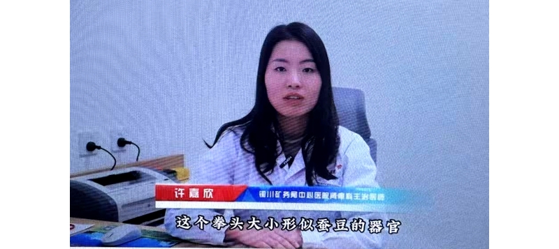 關(guān)注“三高”對(duì)腎臟的危害 讓健康從“腎”邊開(kāi)始